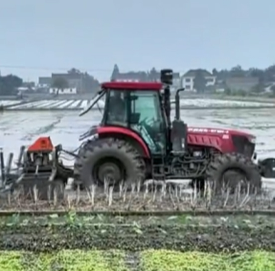 您負(fù)責(zé)統(tǒng)籌全局，它負(fù)責(zé)腳踏實(shí)地